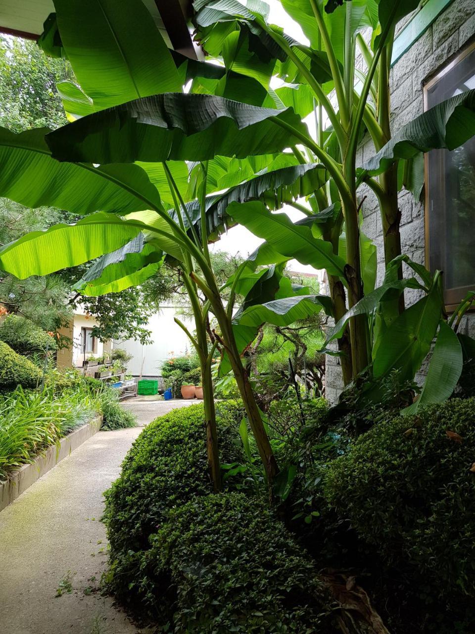Jnw Minbak Hotel ดัมยาง ภายนอก รูปภาพ